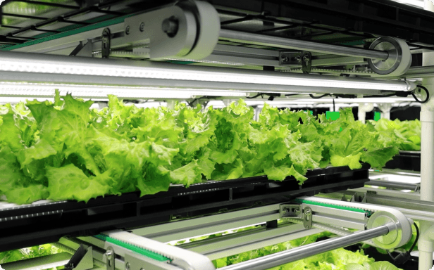 RoboFarm #2